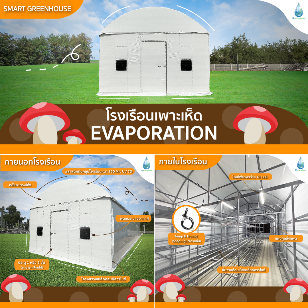 โรงเรือนเห็ด EVAPORATION