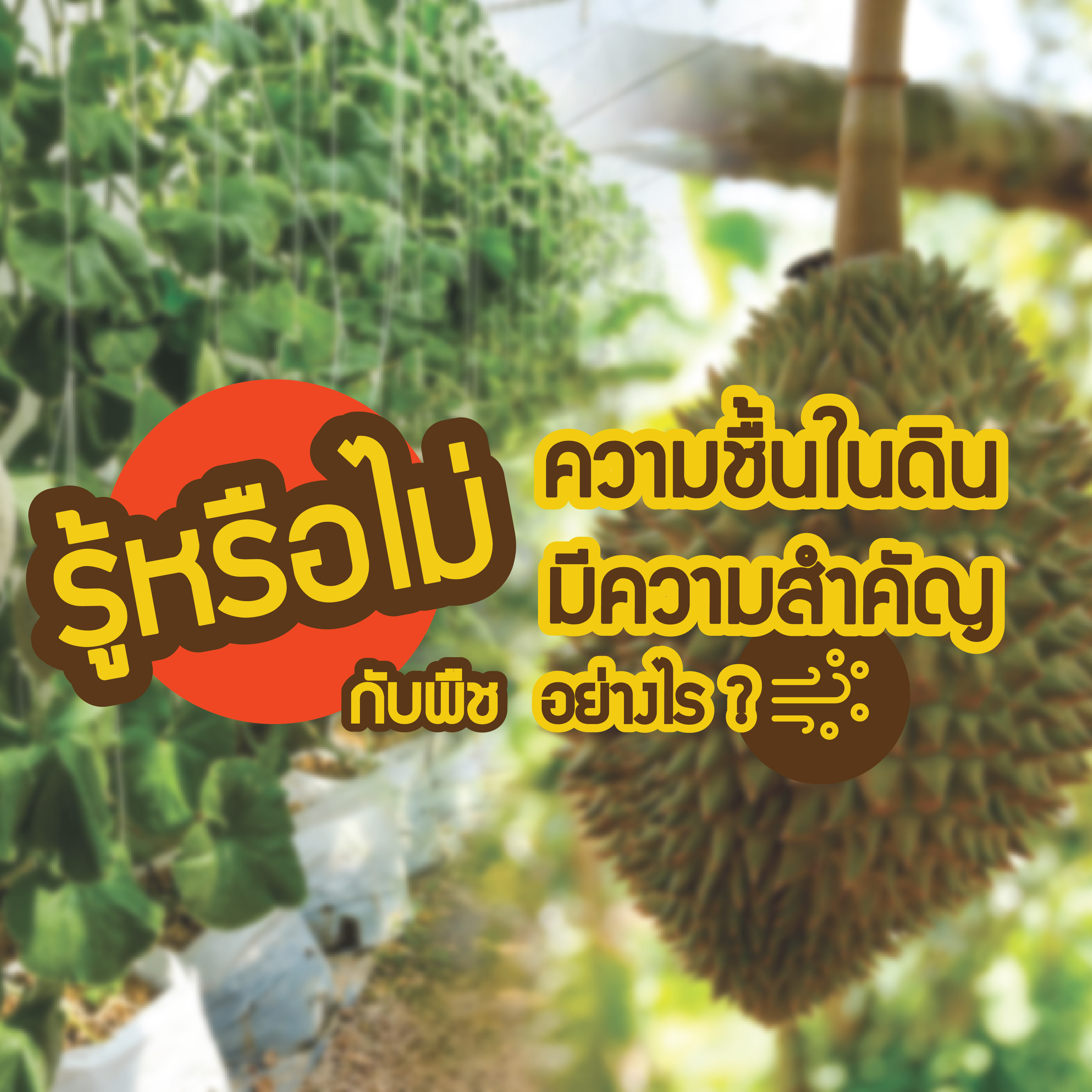 ความชื้นในดิน