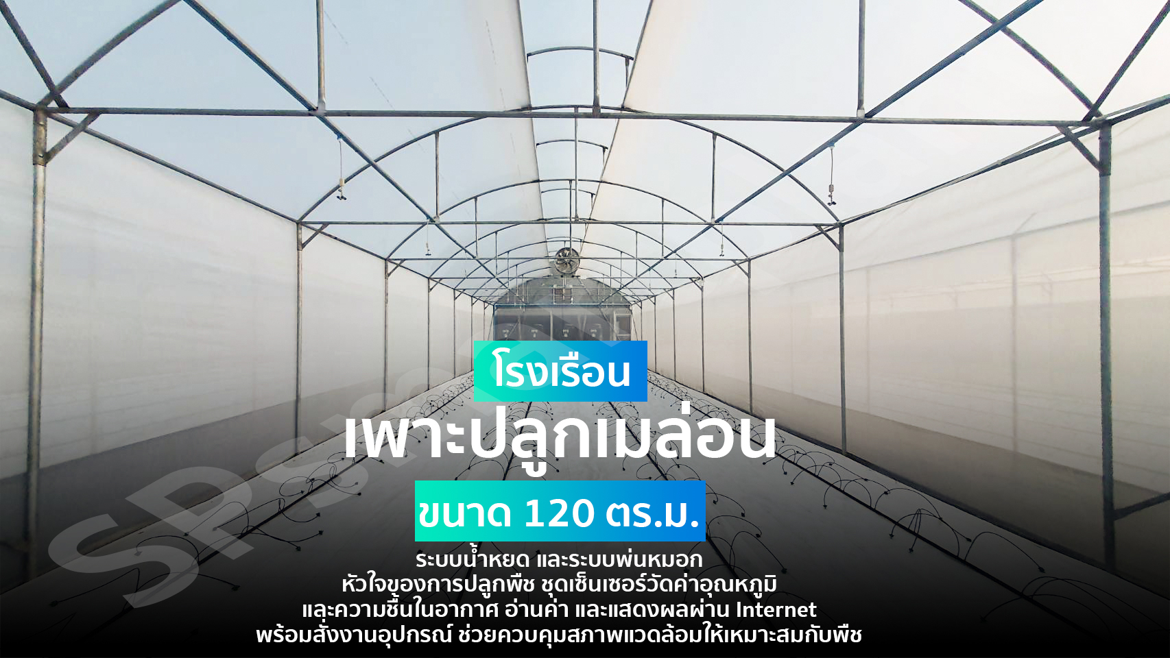 โรงเรือน, โรงเรือนเกษตร, โรงเรือนปลูกผัก, โรงเรือนอัจฉริยะ, โรงเรือนสมาร์ท, โรงเรือนIoT, โรงเรือนเมล่อน, เมล่อน