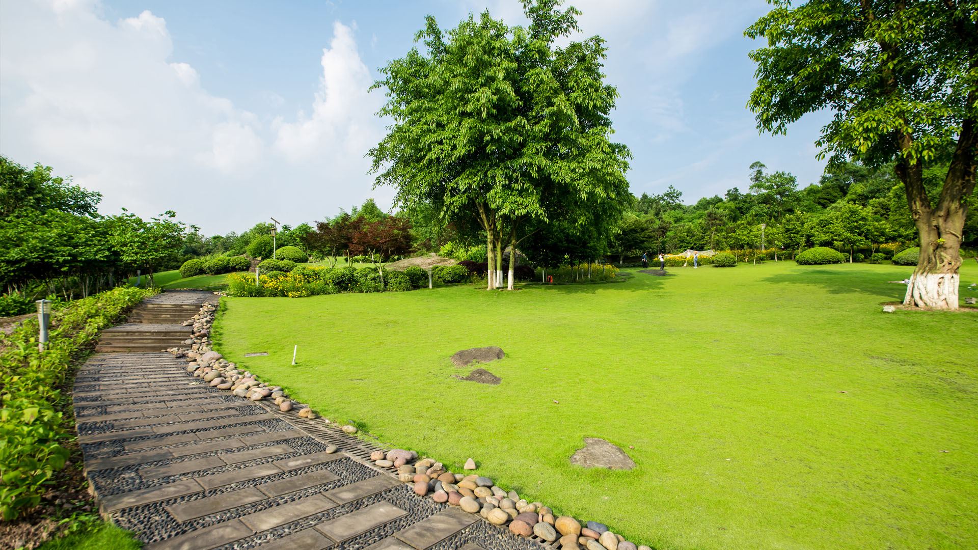SP Samrtplants Smart farm ระบบควบคุมน้ำ เทคโนโลยีการเกษตร Living with innovation